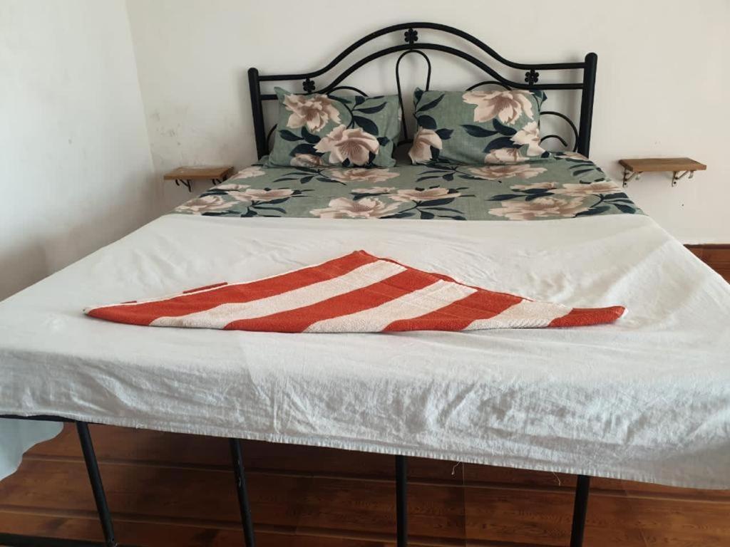 Saltwater Terrace Guest house Arambol